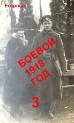 Боевой 1918 год – 3