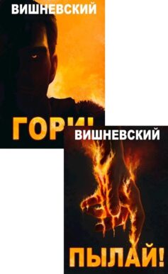 Серия книг «Холодное пламя»