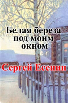 Белая береза под моим окном